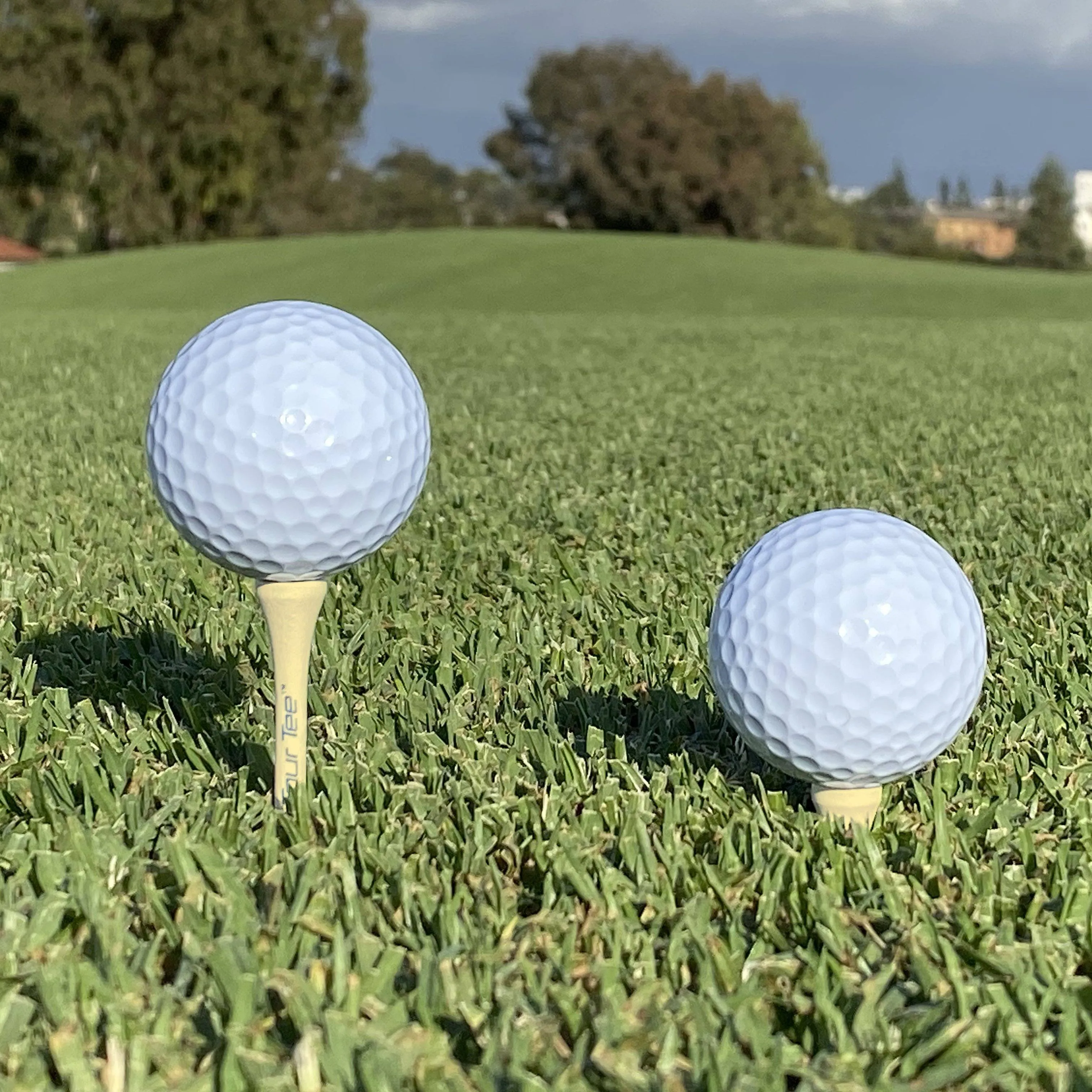 GoSports 2.75" Premium Wooden Golf Tees - 200 Tee Player's Pack with Driver and Iron/Hybrid Tees, Natural